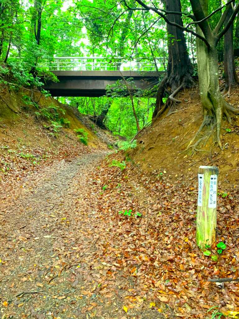 奥武蔵自然遊歩道