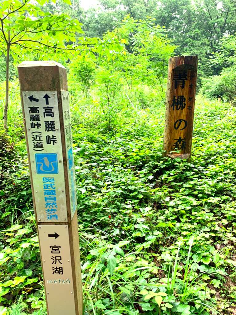 奥武蔵自然遊歩道