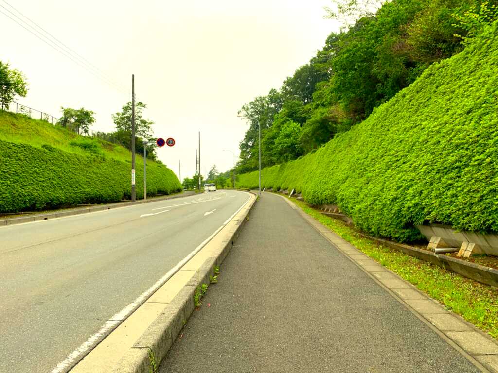 奥武蔵自然遊歩道