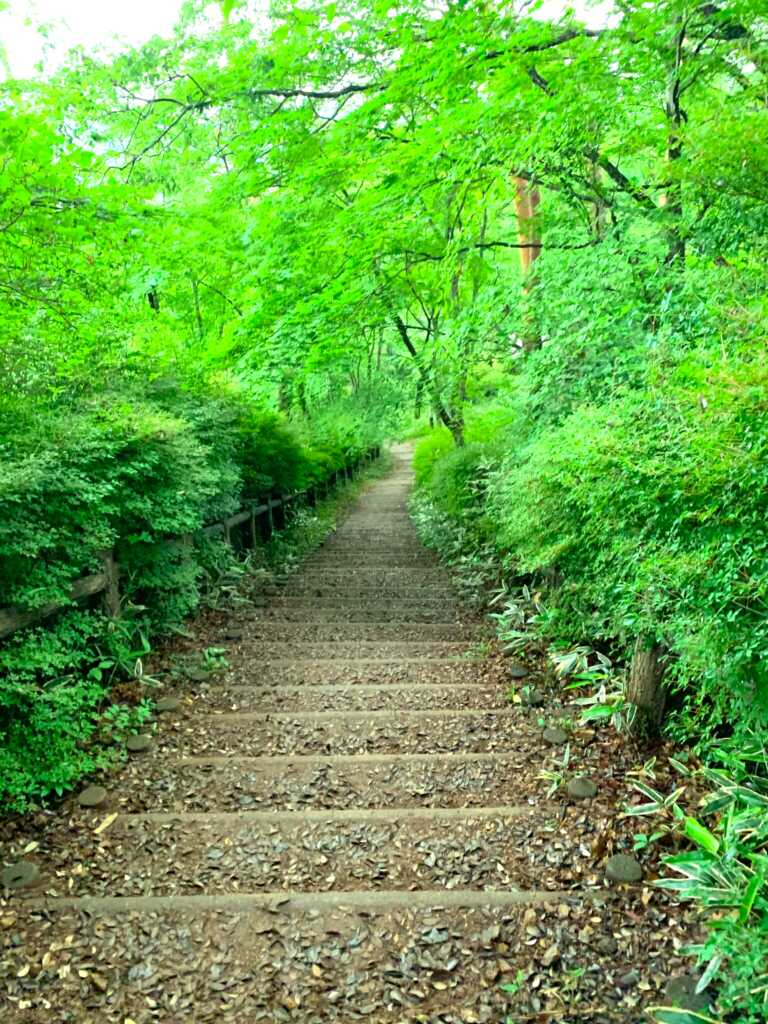 奥武蔵自然遊歩道