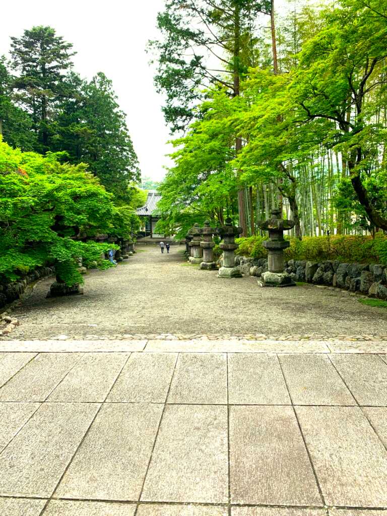 奥武蔵自然遊歩道