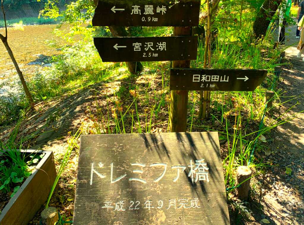 巾着田