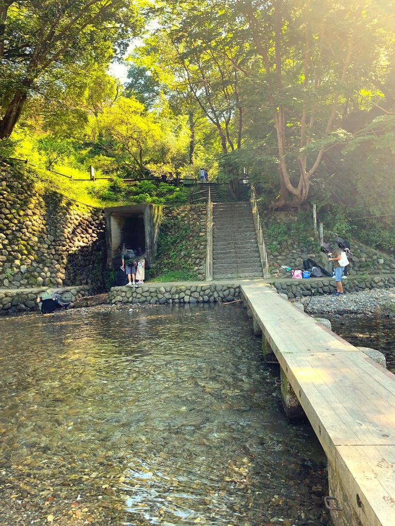 巾着田