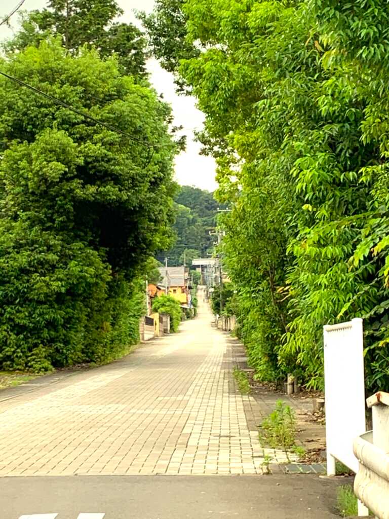 岩殿