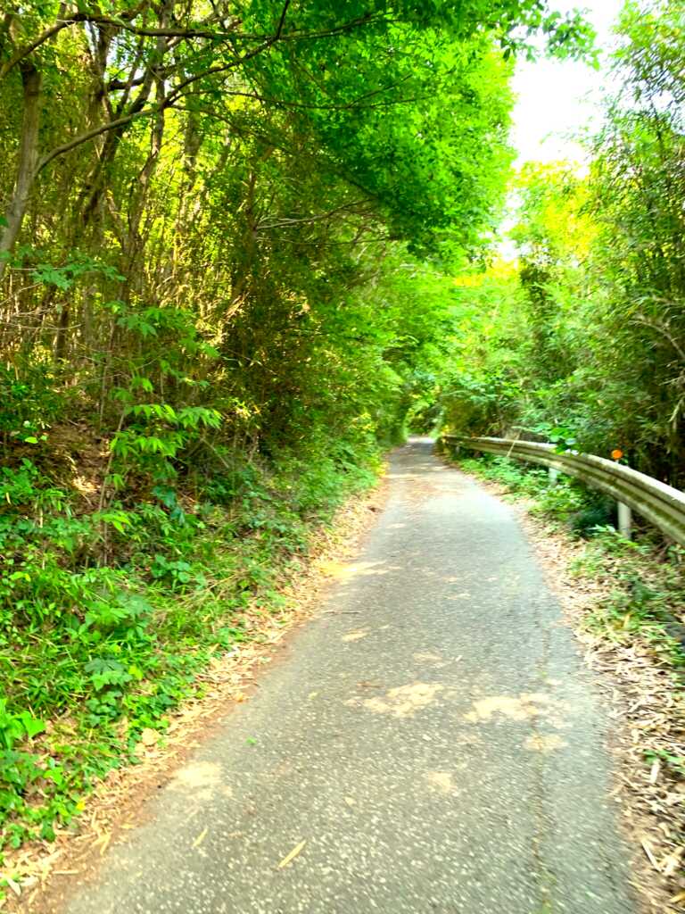 高坂