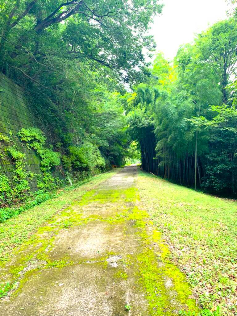 高坂