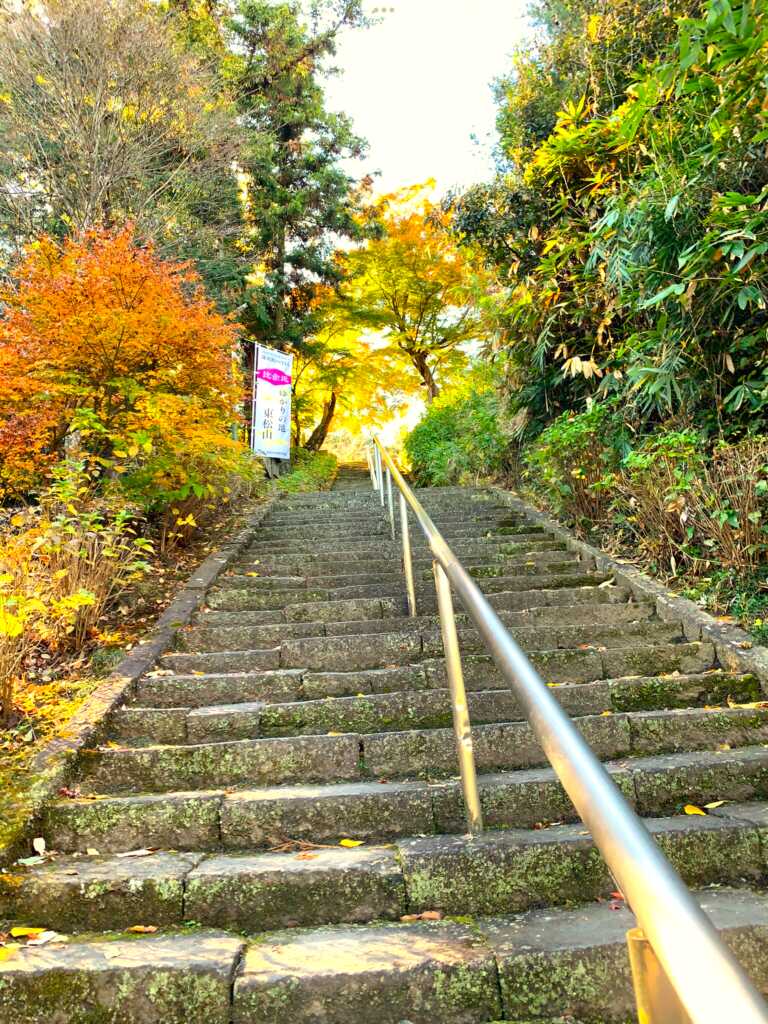 岩殿