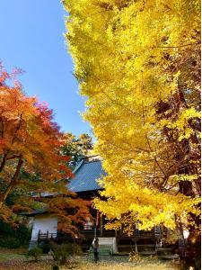岩殿観音・正法寺の様子