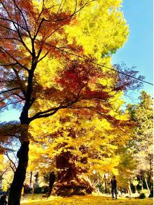 岩殿観音・正法寺の様子
