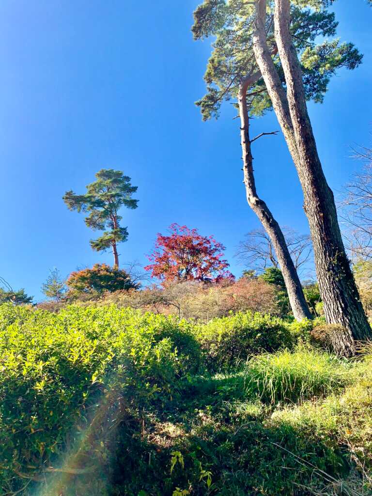 高坂