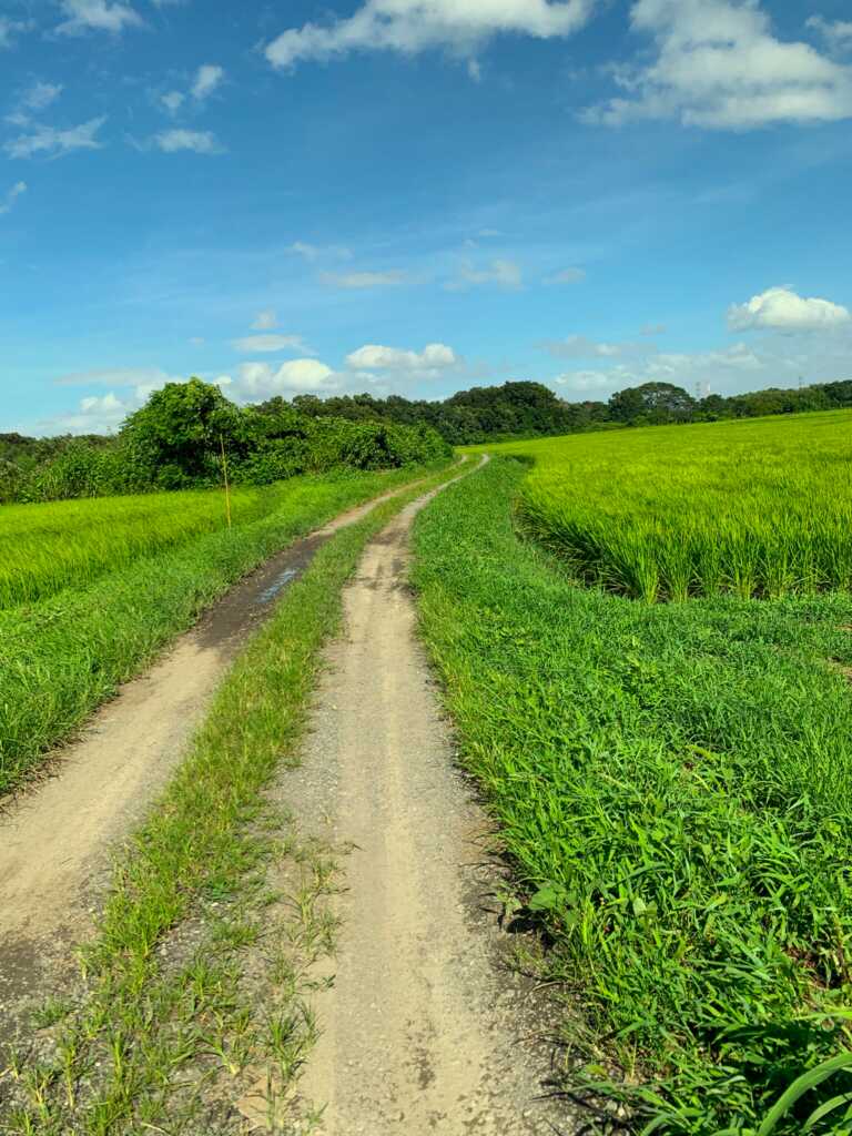 高坂