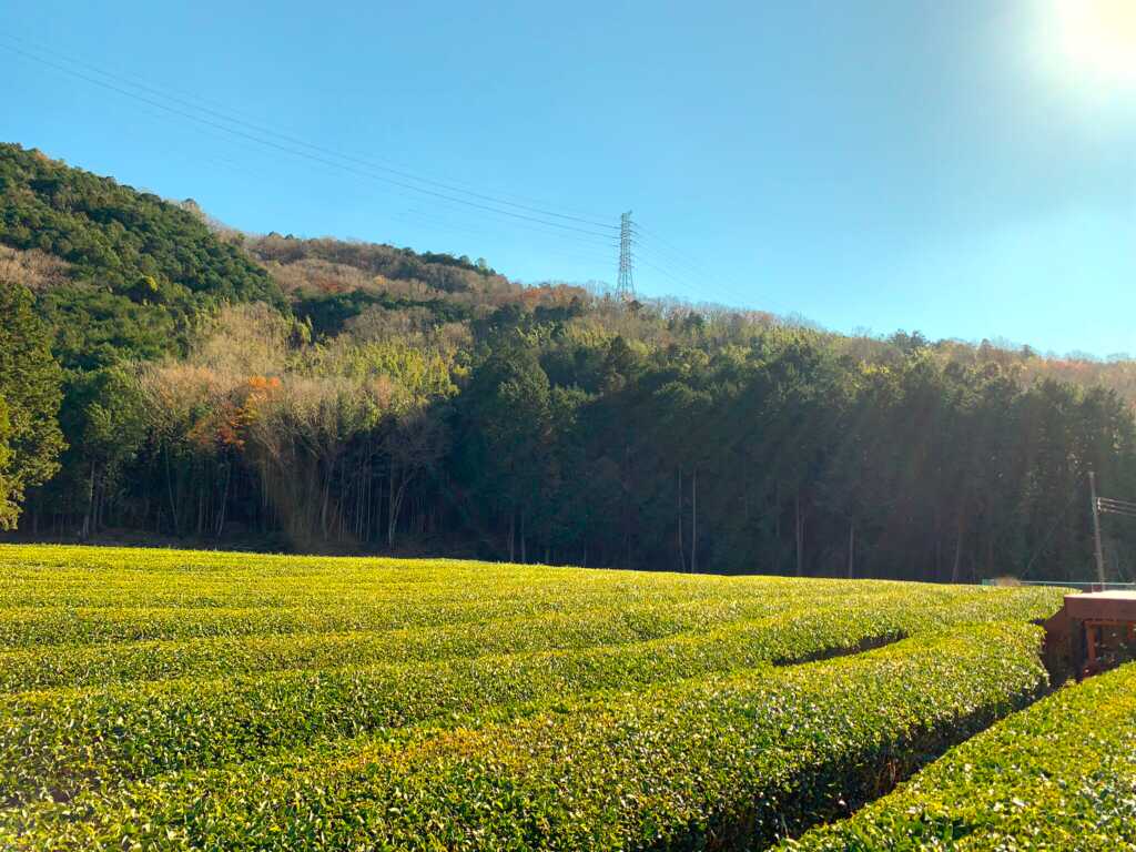 韮山反射炉