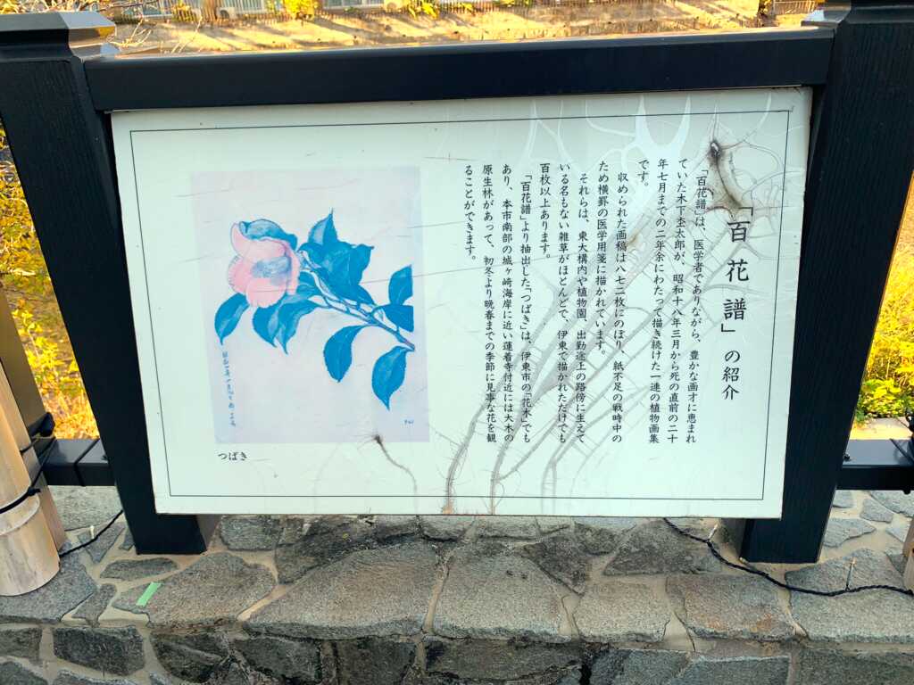 網代・伊東