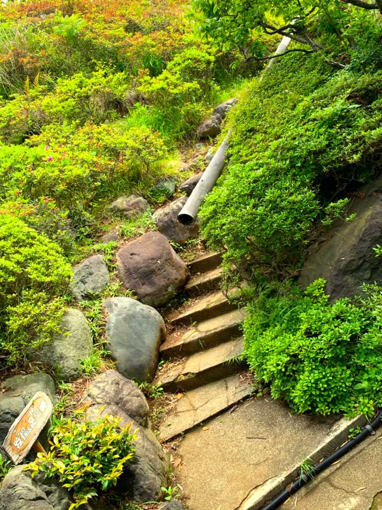 竹林庵みずの