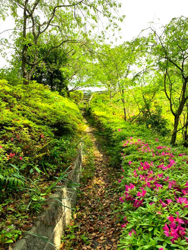 竹林庵みずの