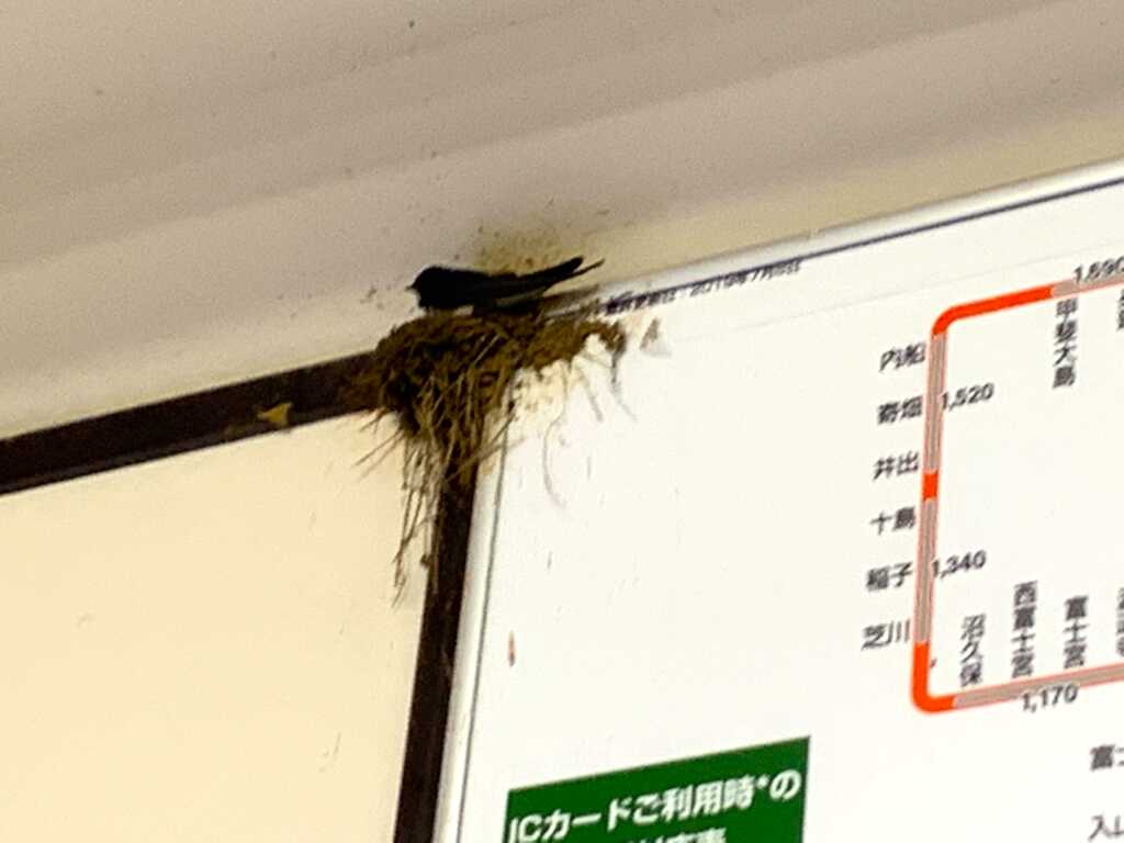 網代・伊東