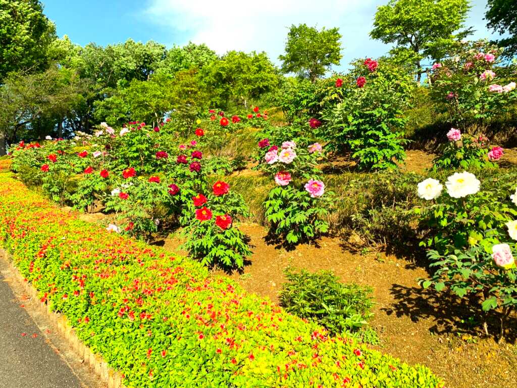 東松山
