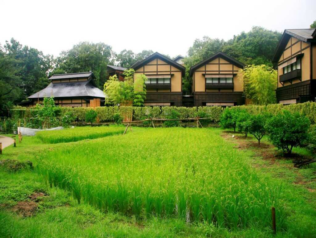 伊豆高原