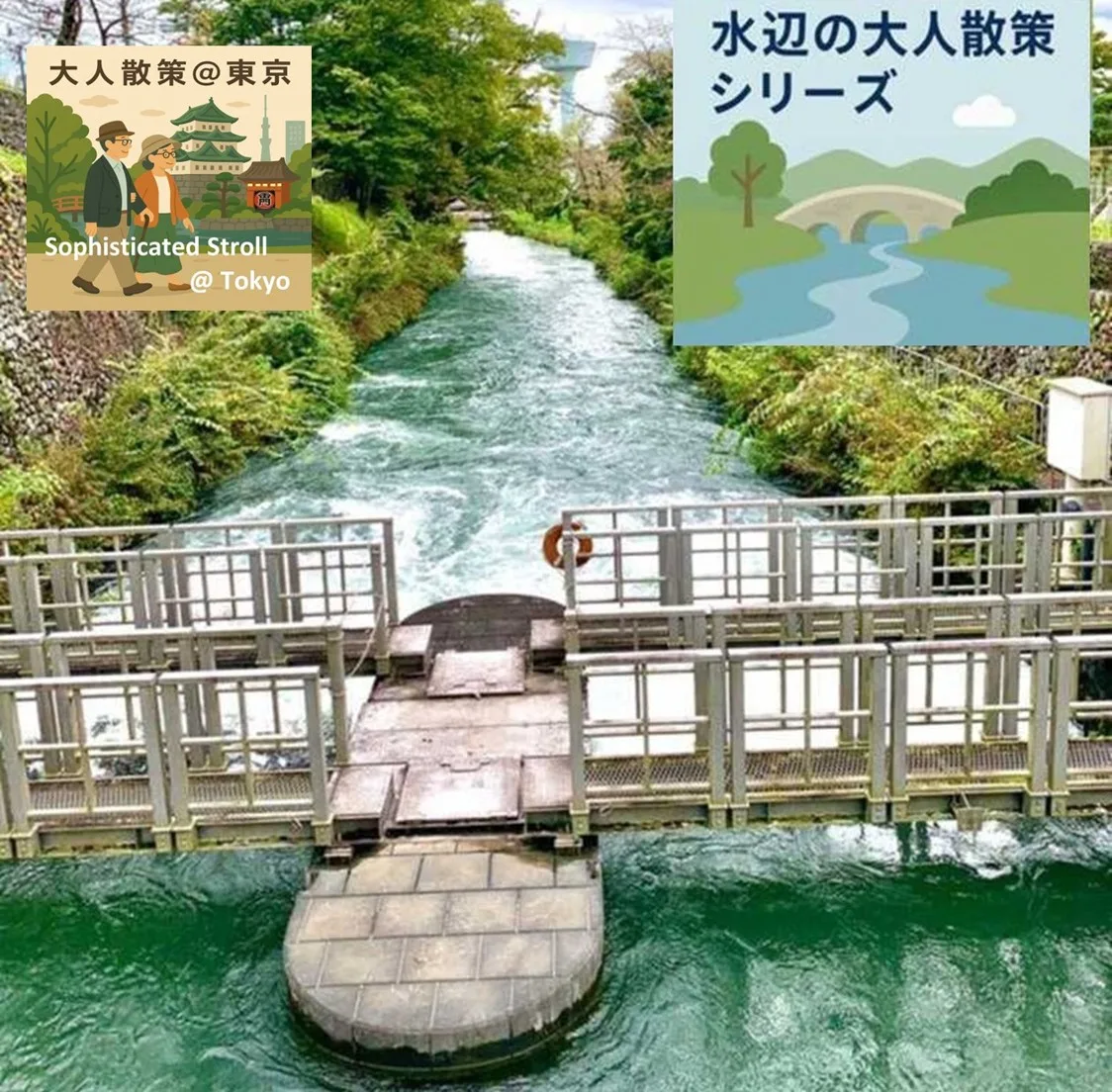 玉川上水 羽村堰　水辺の大人散策シリーズ　