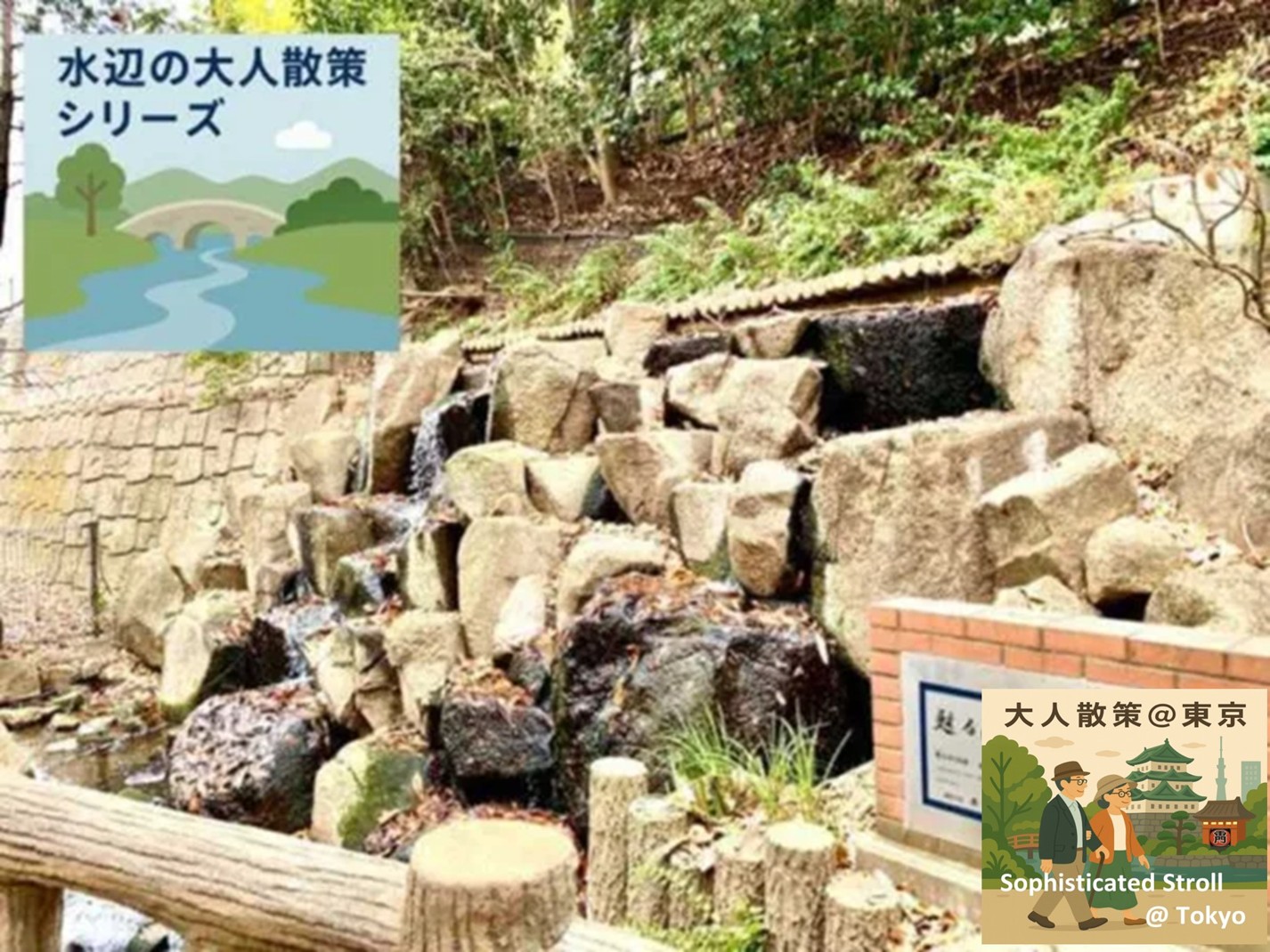 玉川上水 水辺の大人散策シリーズ　