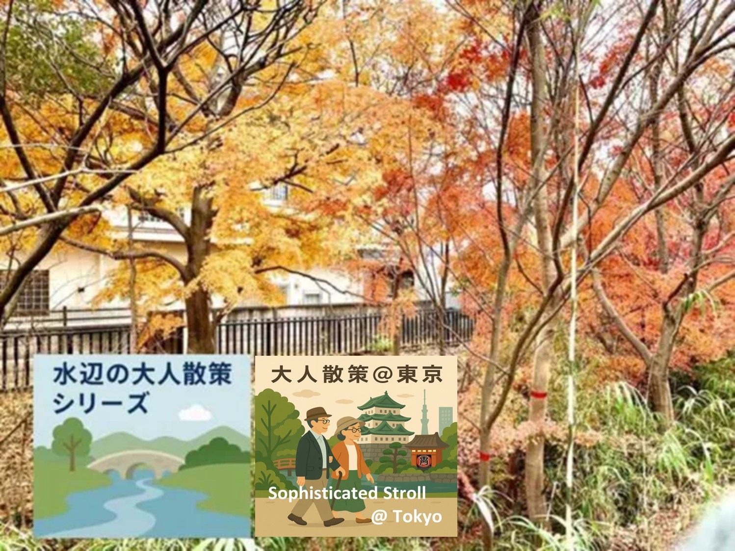 玉川上水 水辺の大人散策シリーズ　