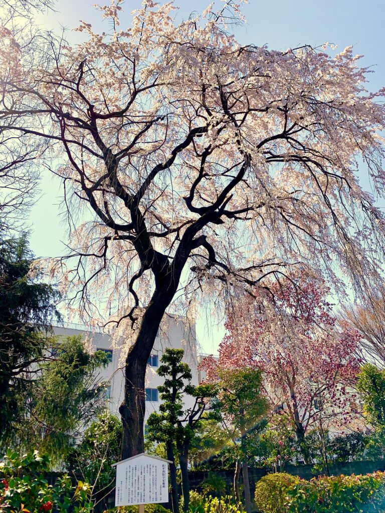 光西寺