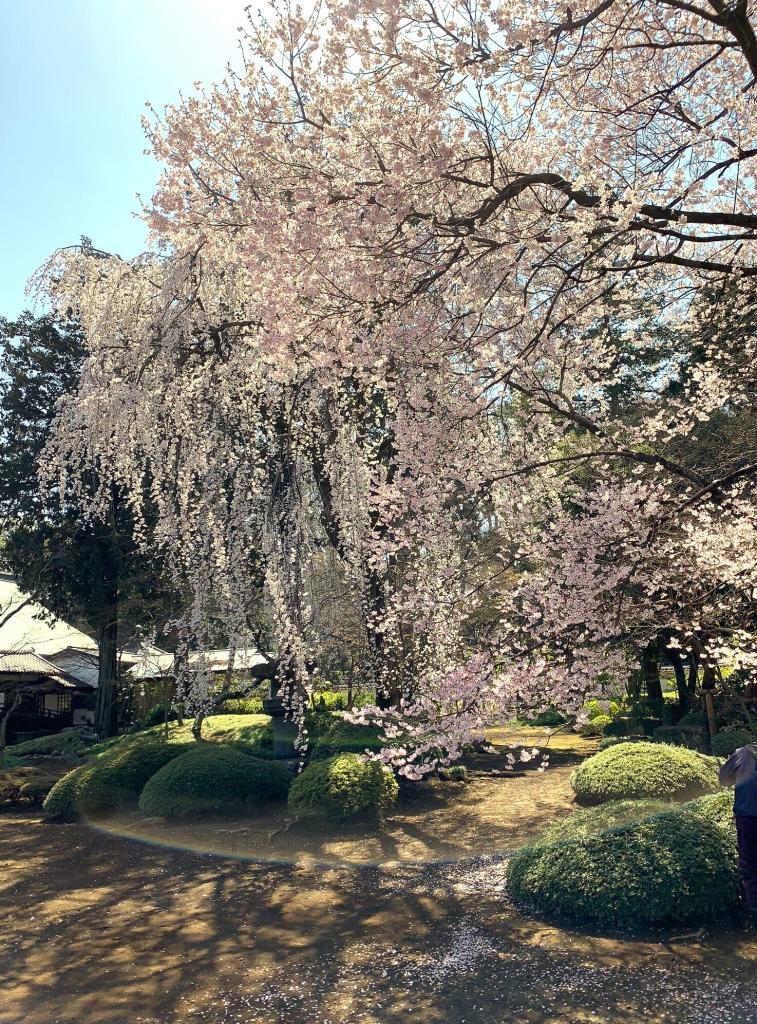 喜多院