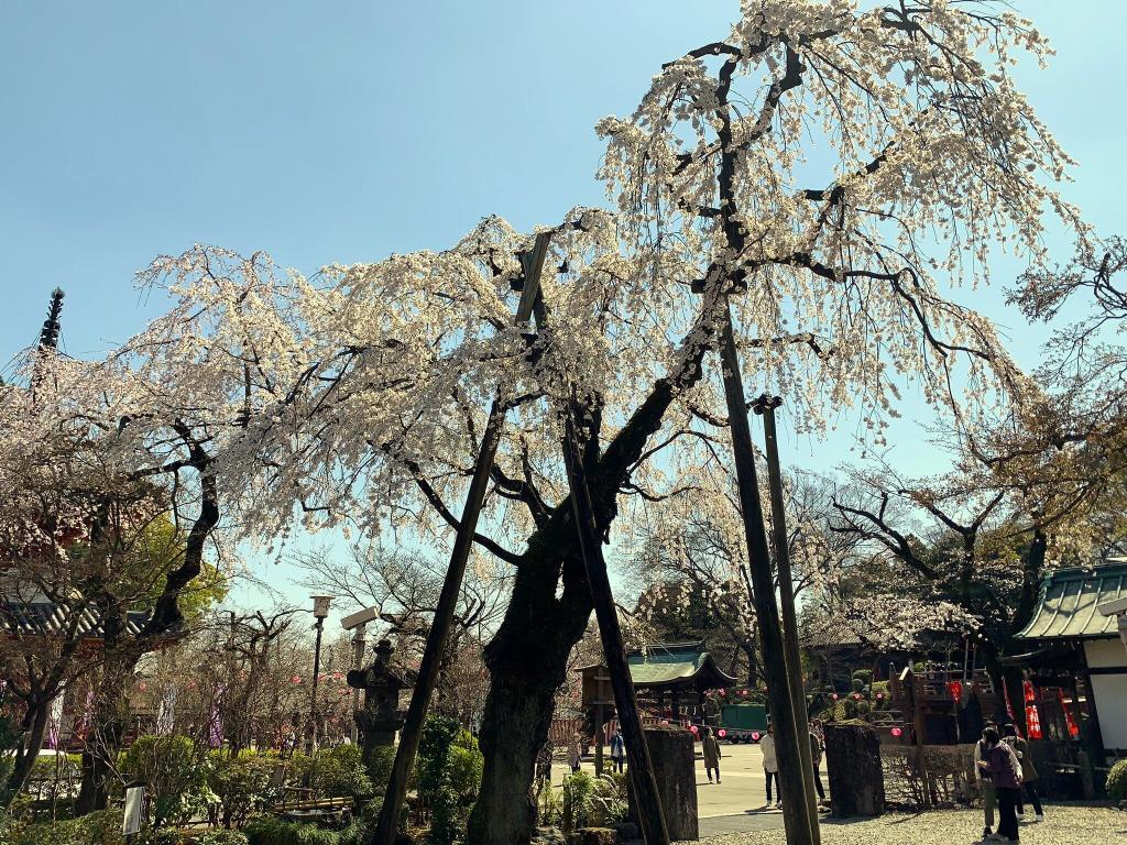 喜多院