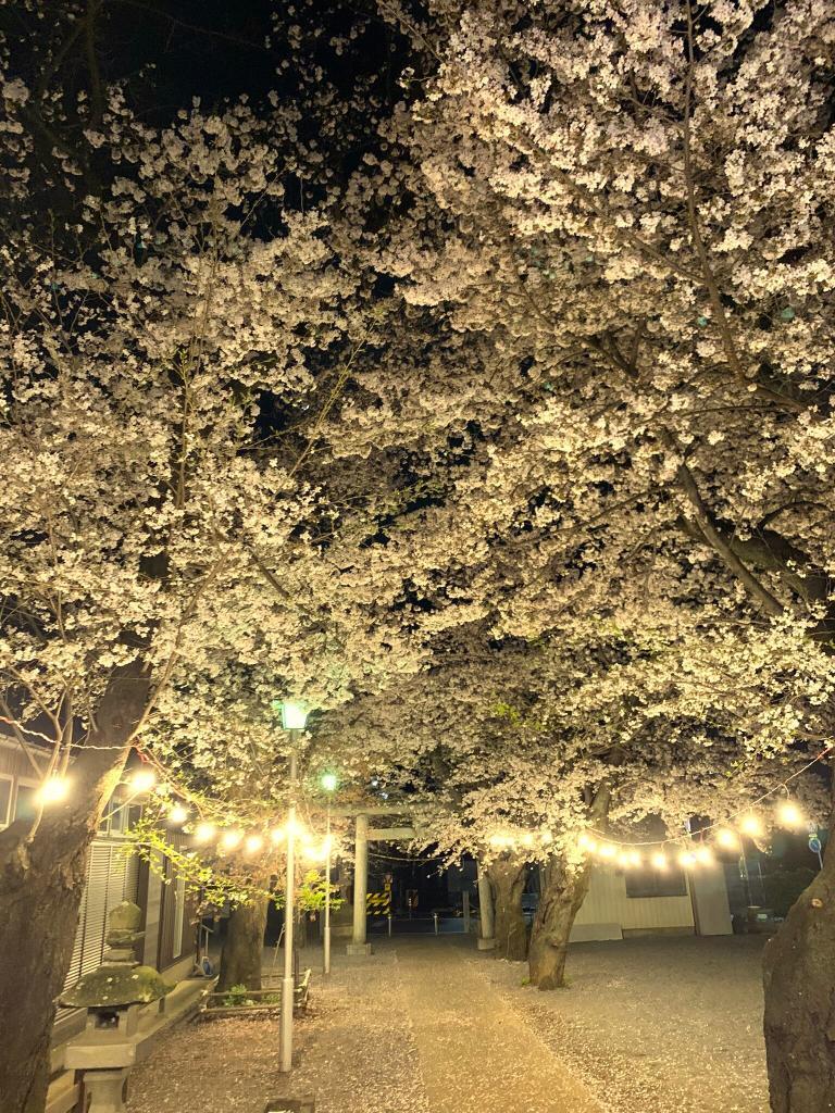 八坂神社＠的場