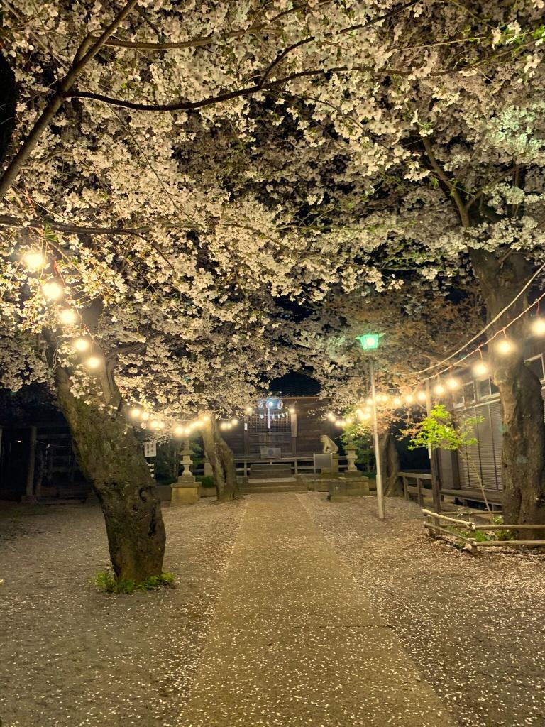 八坂神社＠的場