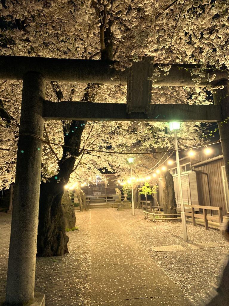 八坂神社＠的場