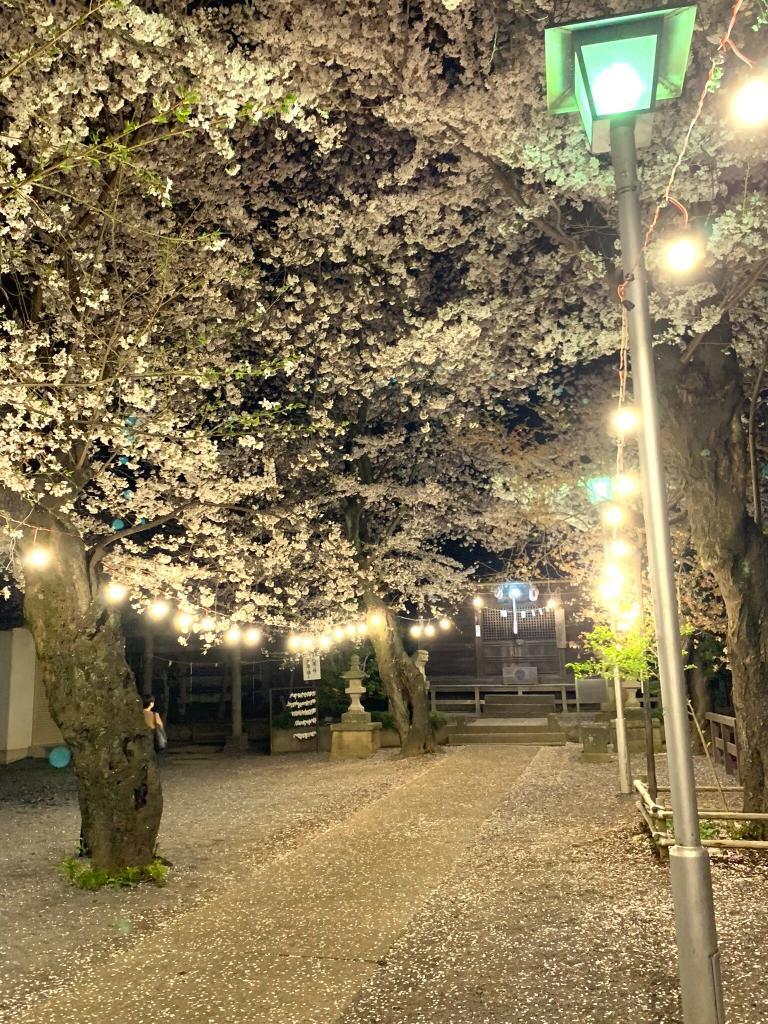 八坂神社＠的場