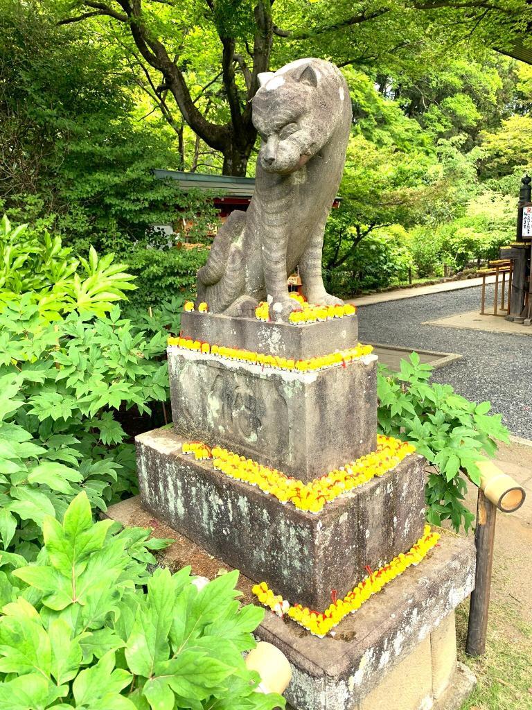 狛〇