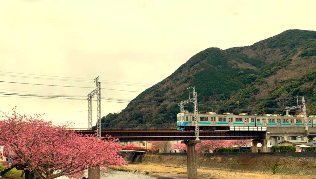 河津