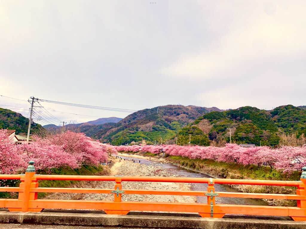 河津