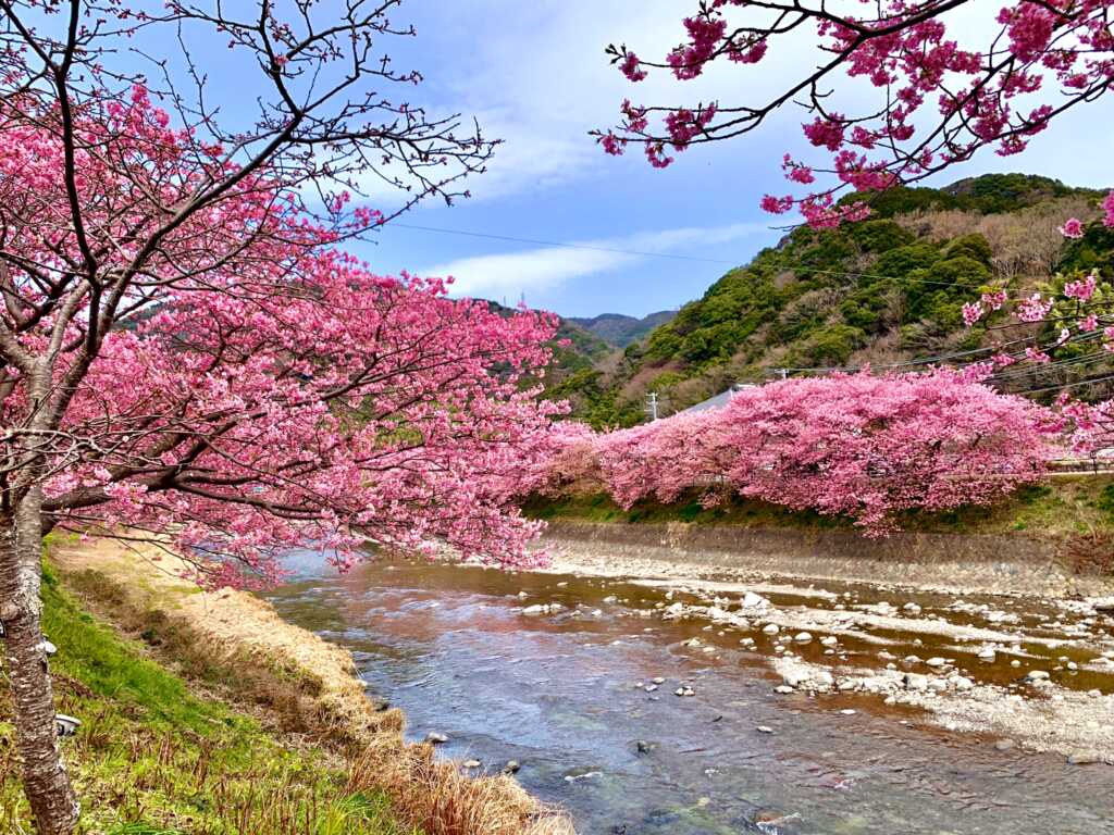 河津