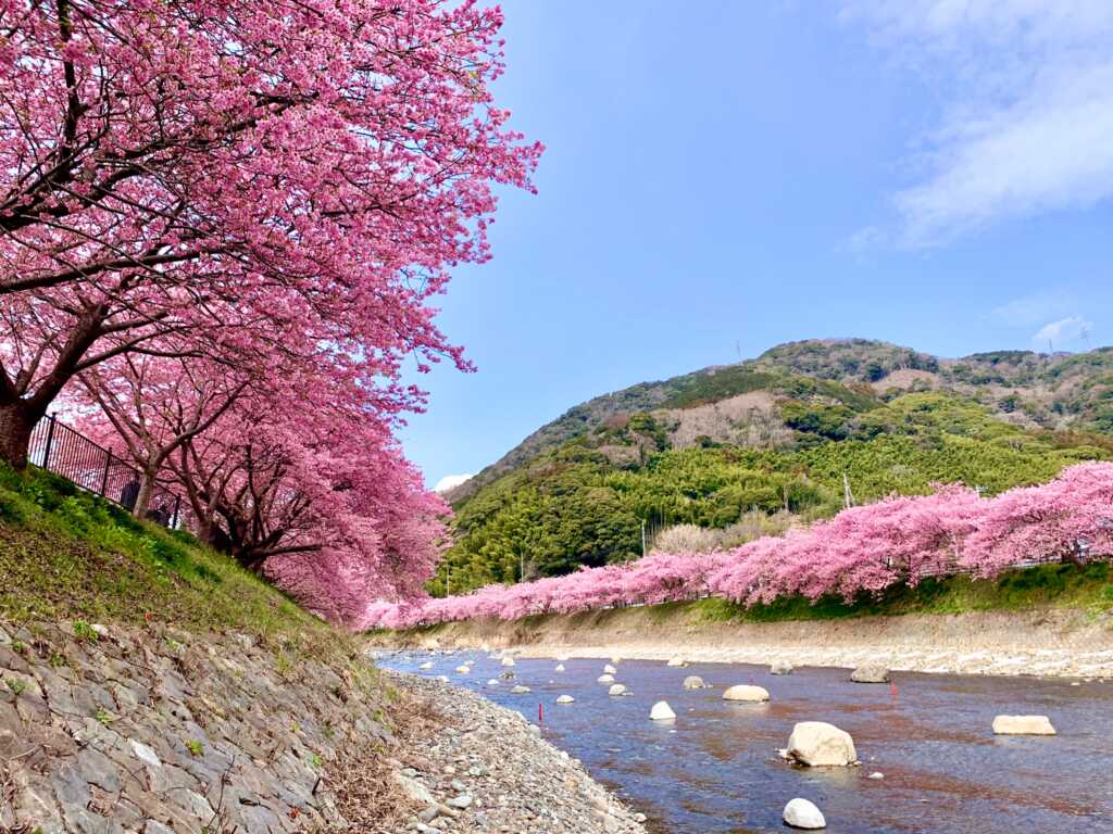 河津