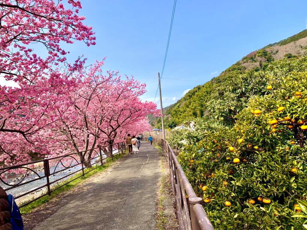 河津