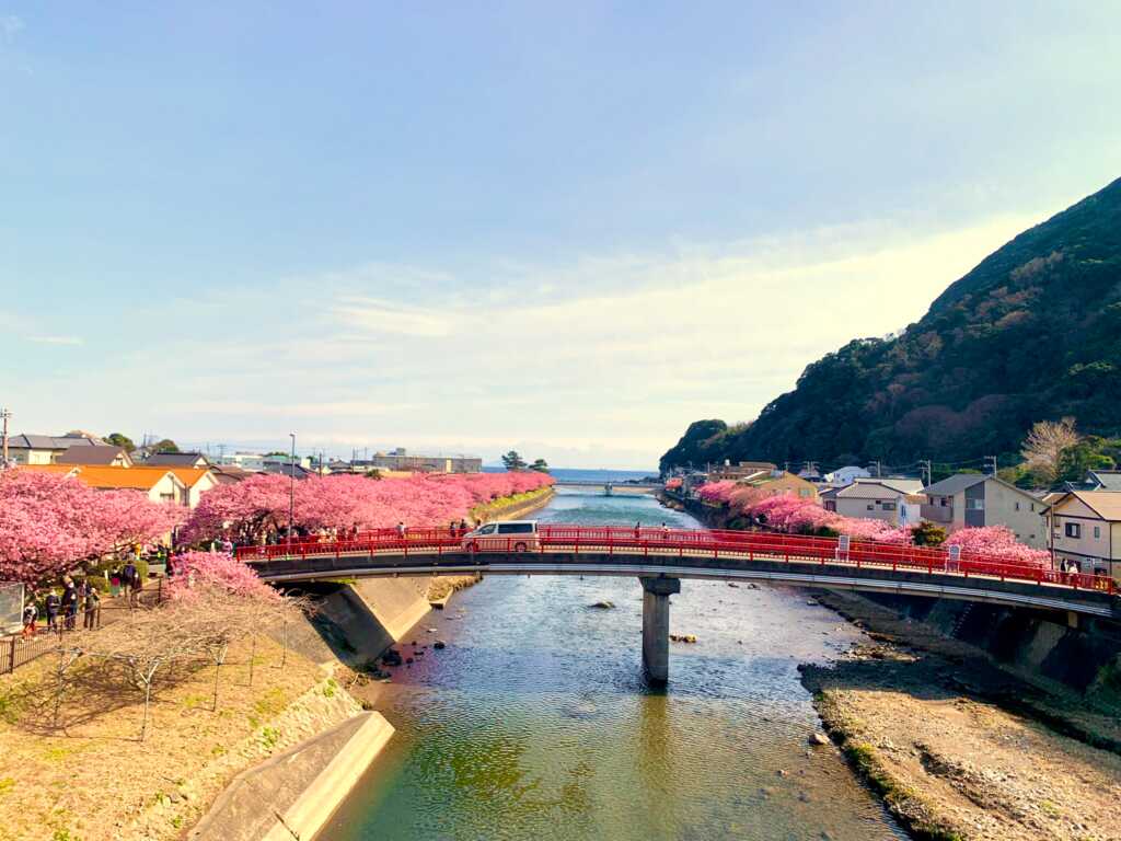 河津