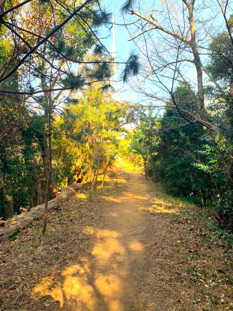 下田