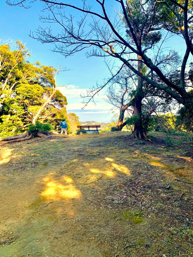 下田