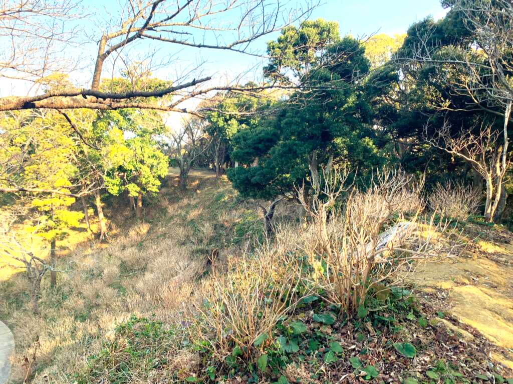 下田