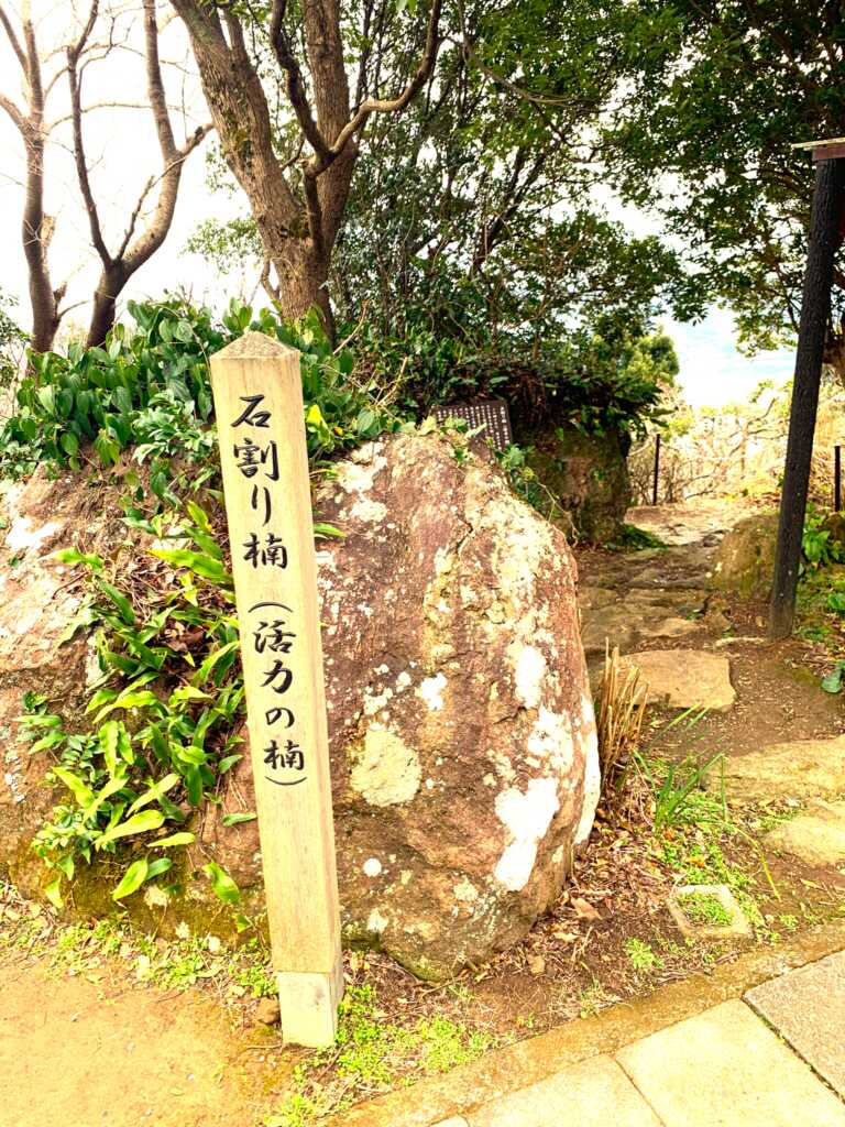 下田