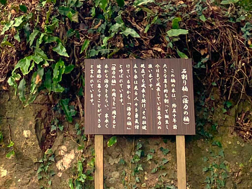 下田