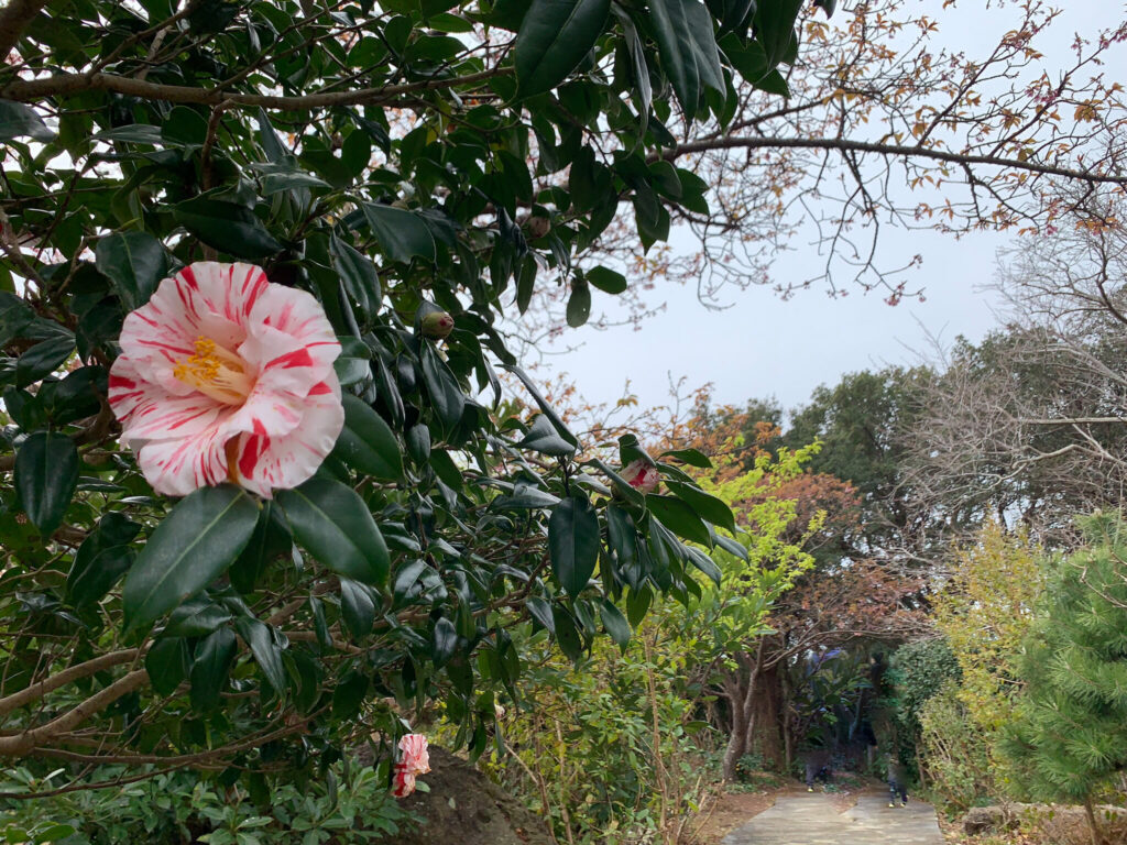 下田