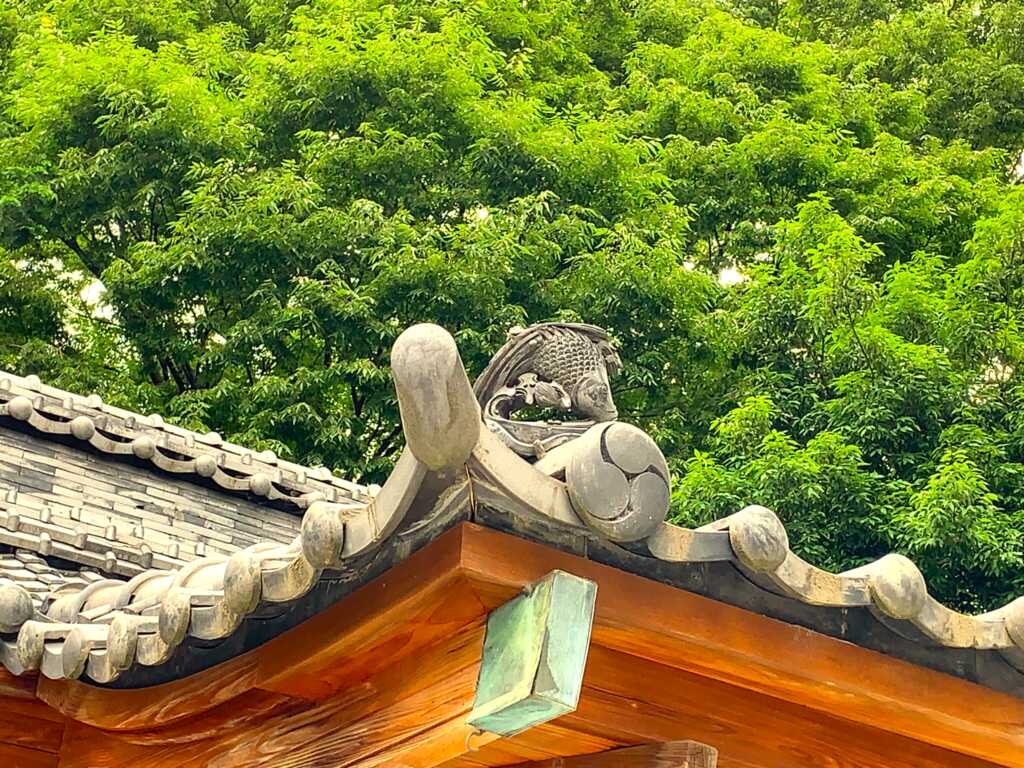 狛〇