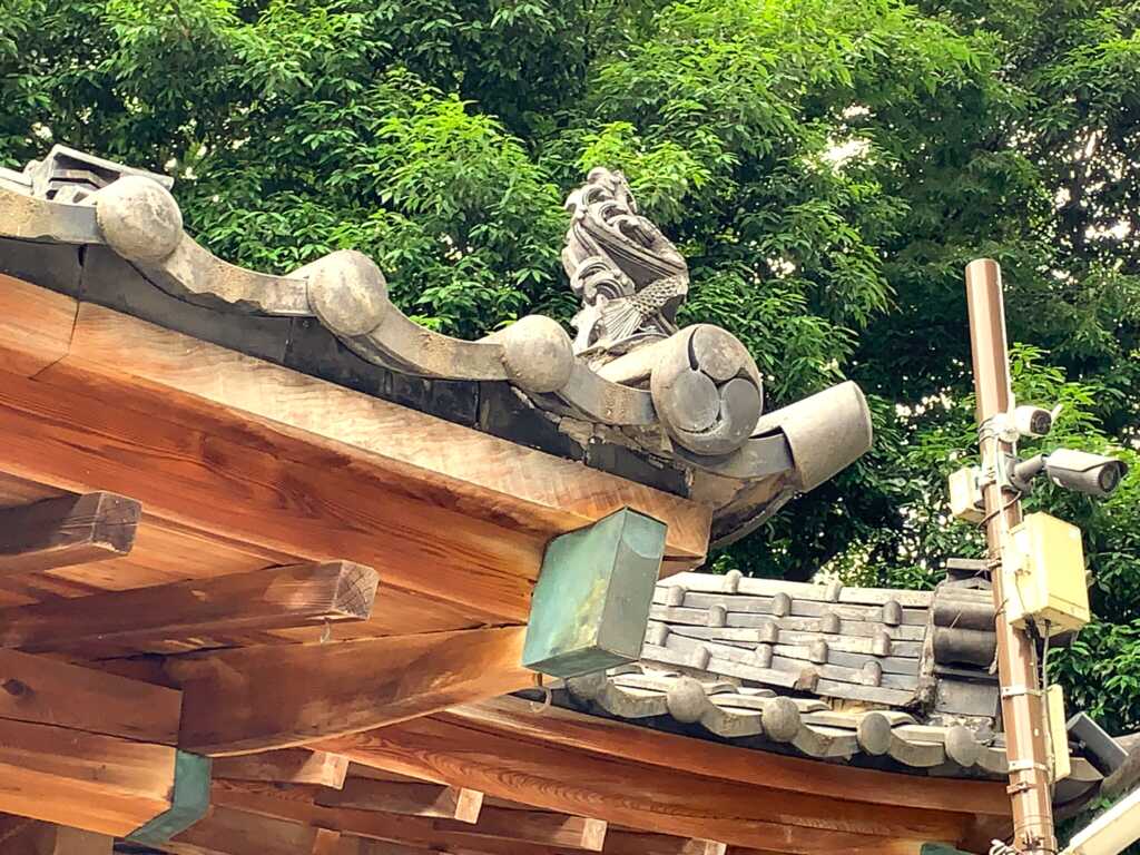 狛〇
