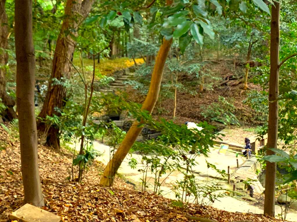 小石川後楽園