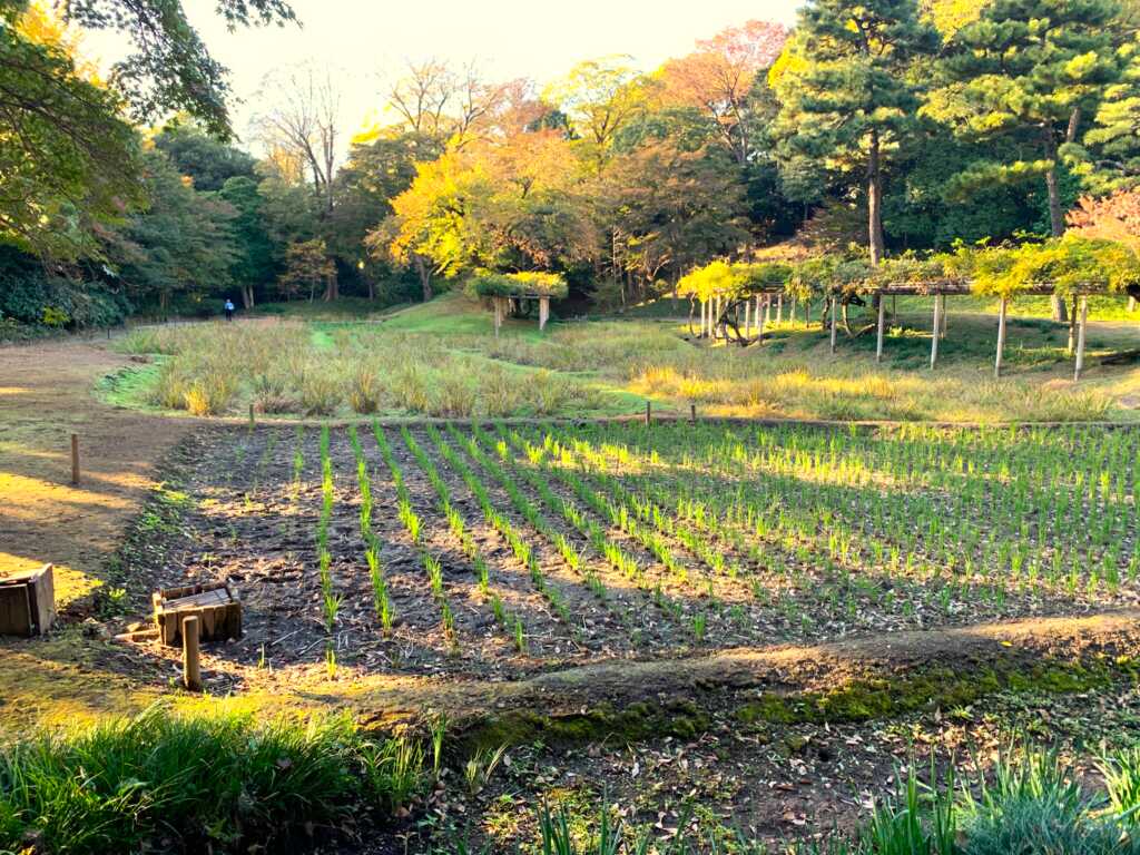 小石川後楽園