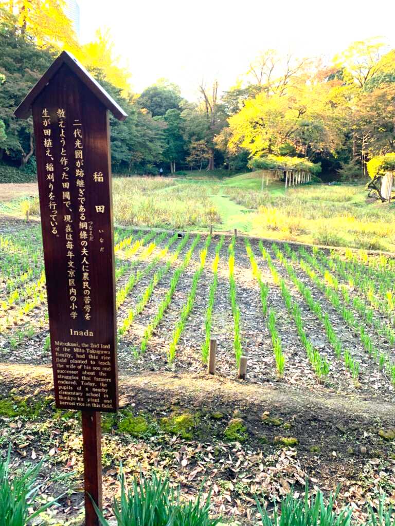 小石川後楽園